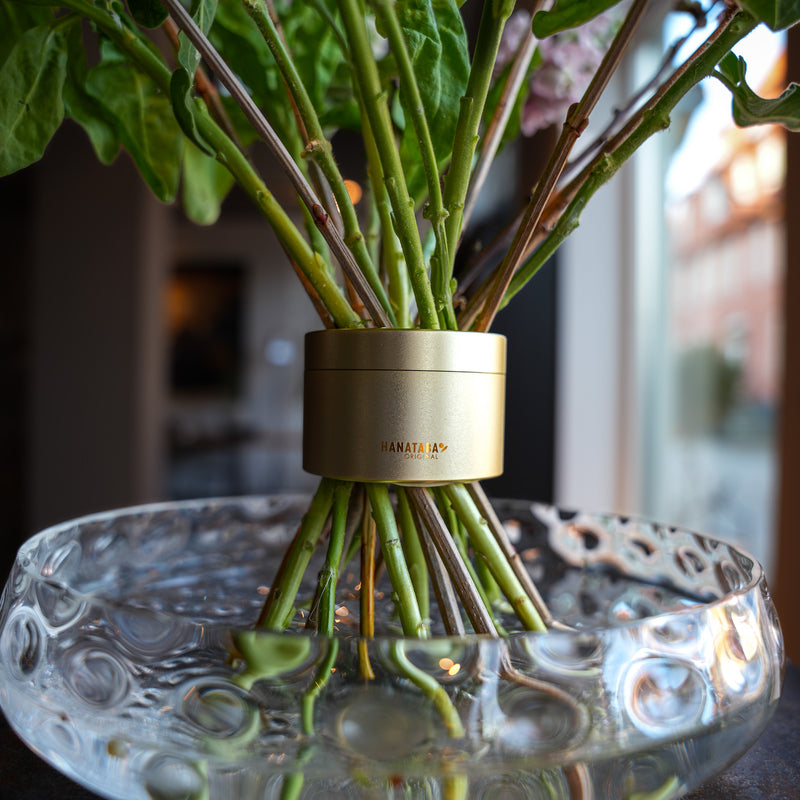 Completed bouquet made with the Hanataba Champagne Gold, demonstrating its professional results