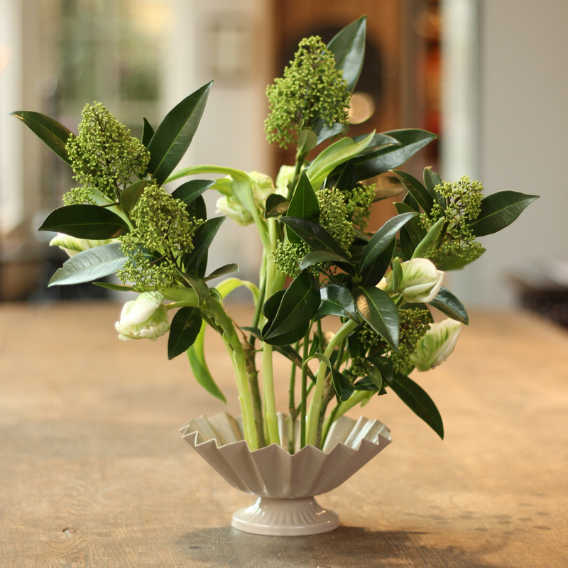 Elegante composizione floreale con fiori verdi in boccio e foglie rigogliose in un classico vaso bianco scanalato ancorato su un anello di kenzan, presentato su una superficie di legno con uno sfondo delicatamente sfocato.