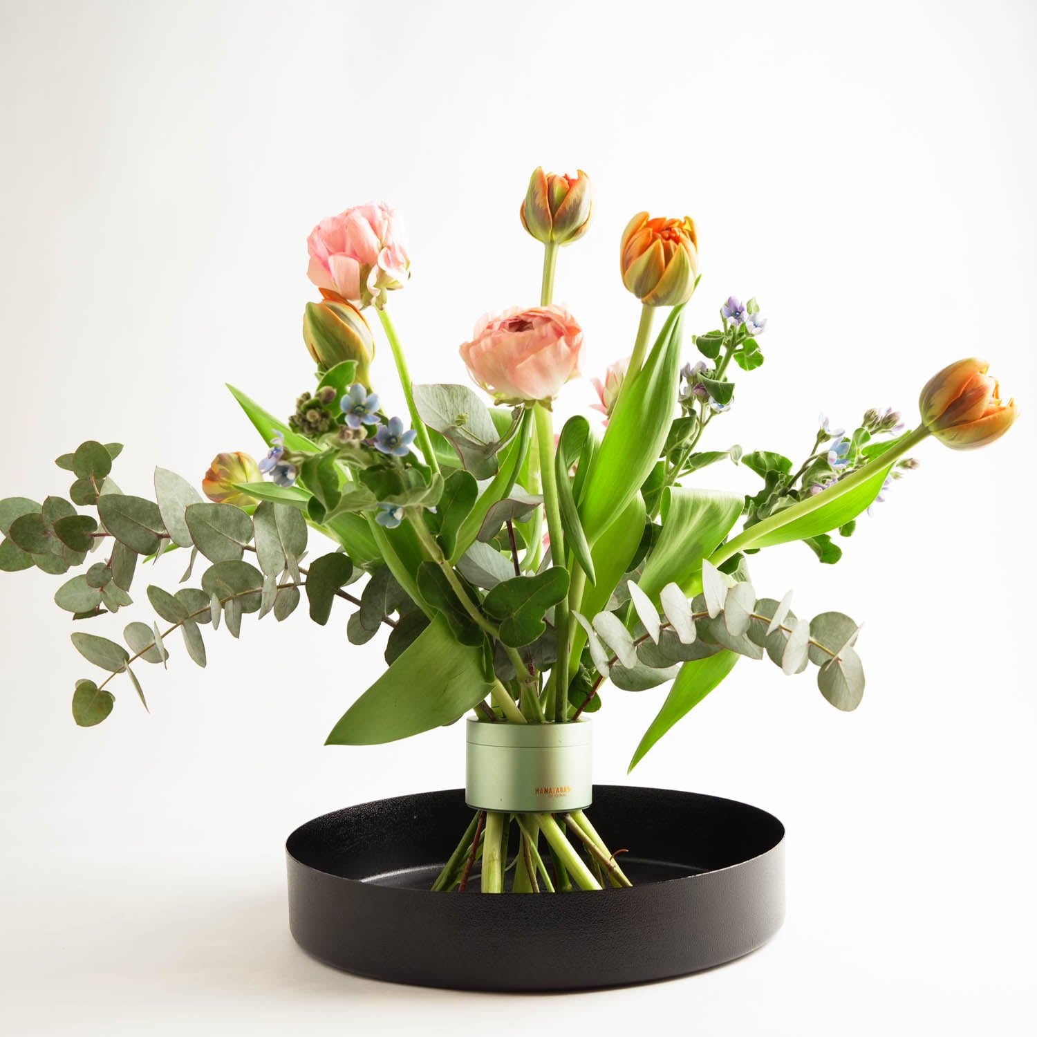 Bellissimo bouquet di tulipani rosa e arancioni e foglie di eucalipto disposti in un Hanataba Matcha Green Flower Twister che è posto in un vaso rotondo di metallo nero in un ambiente bianco brillante.