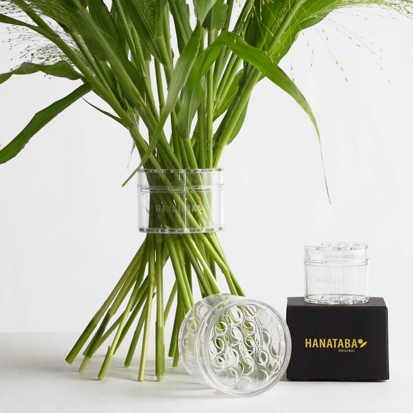 Elegant bouquet of green stems arranged with a transparent Hanataba holder, showcasing ikebana-inspired floral design. Both the large and small included Hanatabas are displayed, the smaller o top of a black box with gold Hanataba Original logo, creating a refined floral arrangement setting.