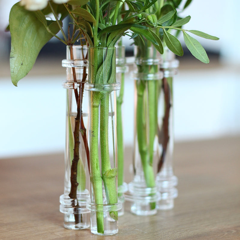 Elegante vaso trasparente Flowerflute di Hanataba, che presenta un trio di steli con fogliame verde.