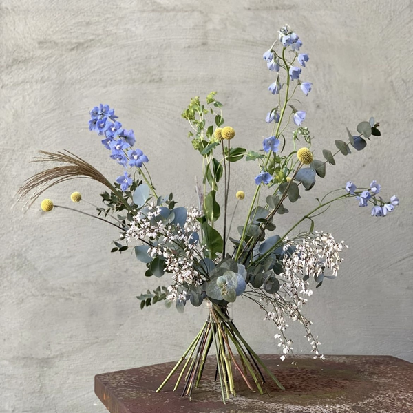 Esposizione floreale Ikebana con delphinium blu, craspedia gialla e delicato alito di bambino, disposti con il tradizionale supporto a spirale Hanataba con tecniche giapponesi.