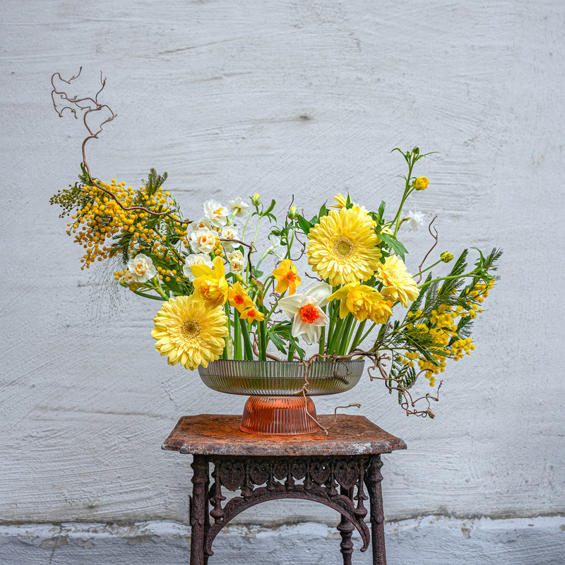 Una vivace composizione floreale con gerbere gialle, narcisi e mimosa, ancorata da un anello Kenzan Fakir da 200 mm su una parete bianca e su un tavolo antico.