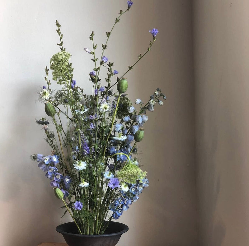 Un eclettico mix di fiori di campo bianchi e blu con delicati fiori verdi, esposti in una ciotola scura su un anello di kenzan, su uno sfondo neutro.