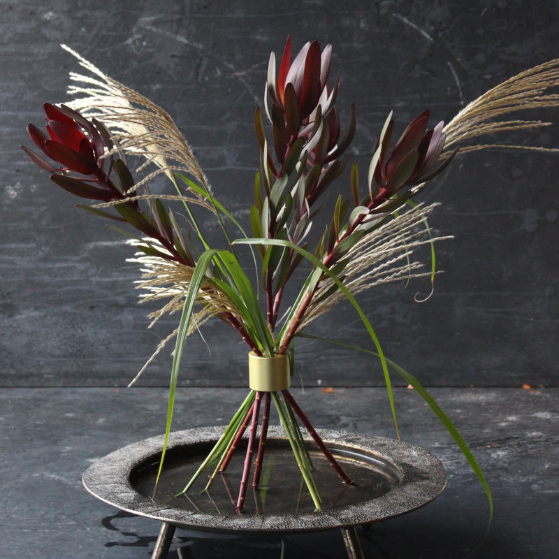 Bouquet esotico di leucadendro rosso ed erba della pampa assicurato da un twister Hanataba color oro champagne, su uno sfondo scuro.