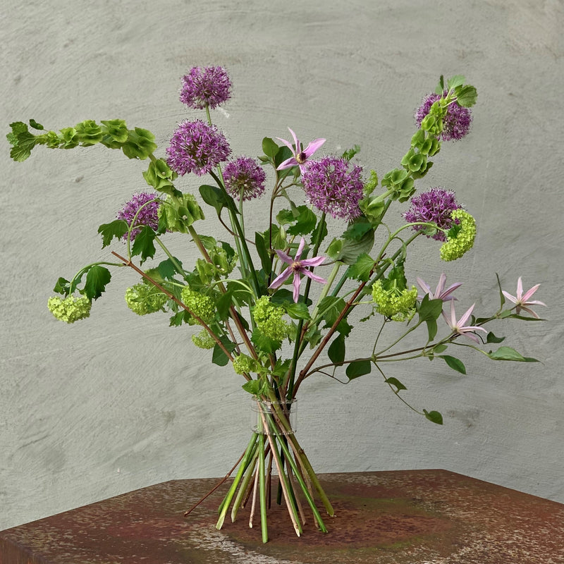 Un Hanataba Bouquet Twister fissa una vivace serie di allium viola e delicati fiori rosa su uno sfondo muto.