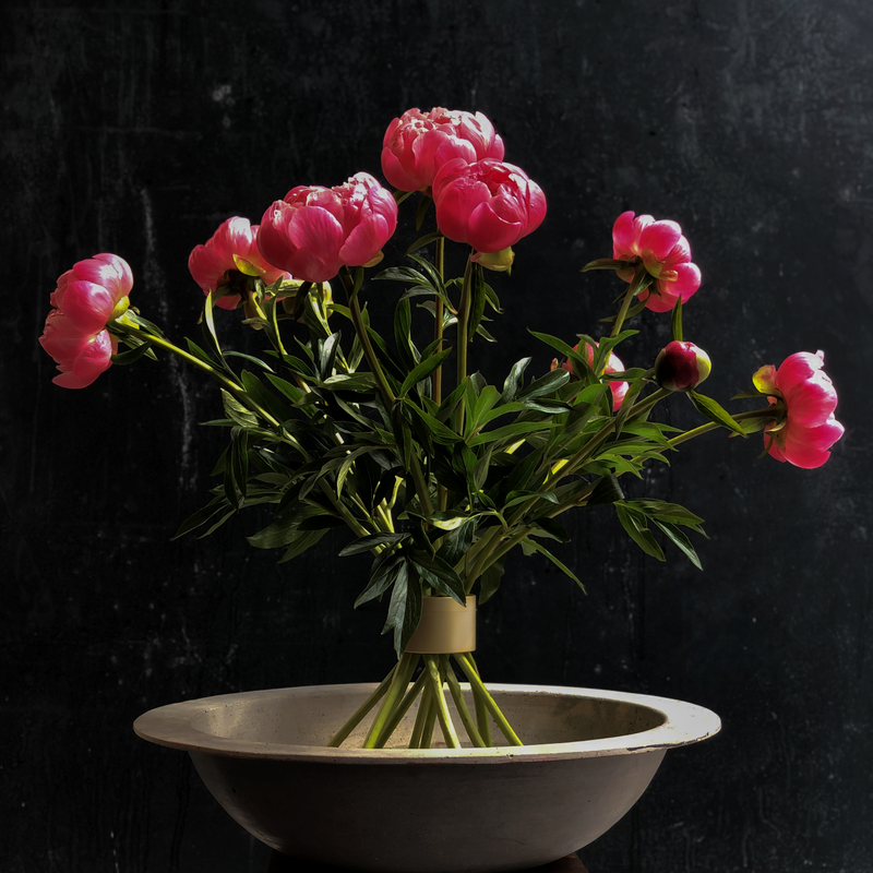 A Hanataba Champagne Gold bouquet twister showcasing vibrant pink peonies against a dark backdrop, embodying a luxurious and bold aesthetic.