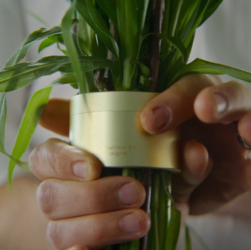  Close-up of hands meticulously fastening stems with a Champagne Gold Hanataba twister.