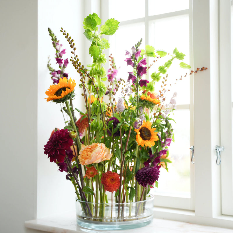  Una composizione lussureggiante e colorata di fiori misti, tra cui calendule arancioni, snapdragon viola e dalie rosso intenso, fissata da un anello Kenzan da 200 mm su un davanzale, illuminato dalla luce naturale.