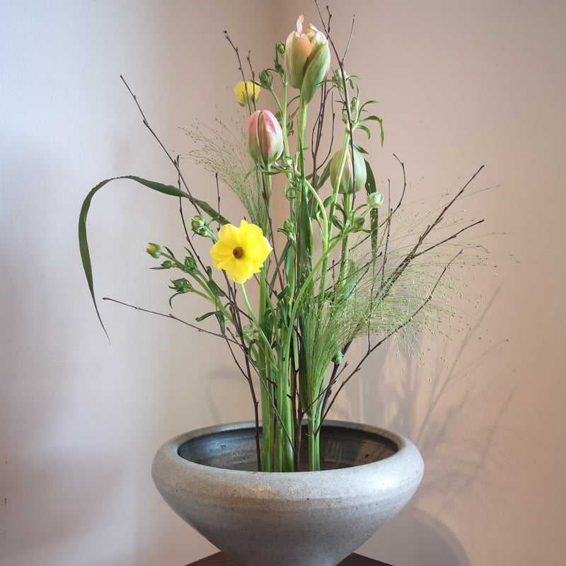  Una serena esposizione floreale con un narciso giallo e tulipani rosa tenue, il tutto fissato da un anello Kenzan da 70 mm in una ciotola di pietra.